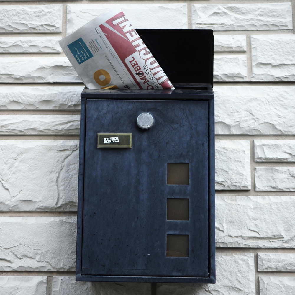 Bizz Carnival Logo (7)